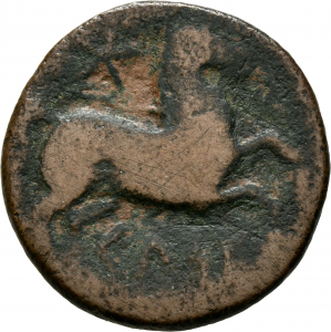 Sedetans: Celsa